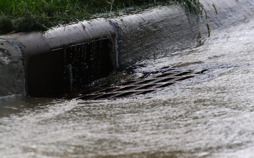 The Evolution and Impact of Sewerage Systems Through History