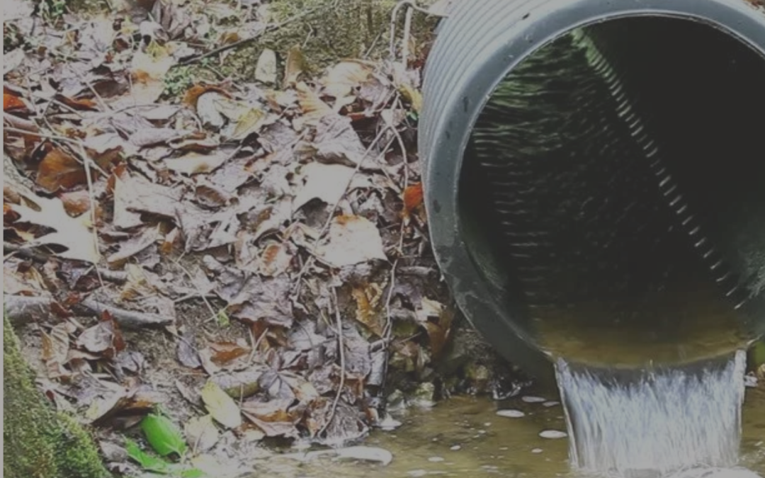 Health Risks of Ignoring Sewer Problems in Your Community